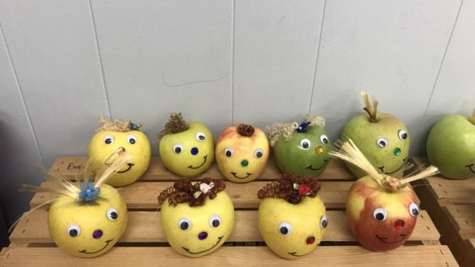 Baby apples line the bookshelf waiting to be adopted at Girdler.