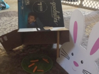 Image showing a bunny cutout with carrots as its trap